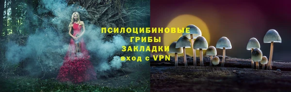 jwh Богородицк