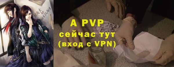 jwh Богородицк