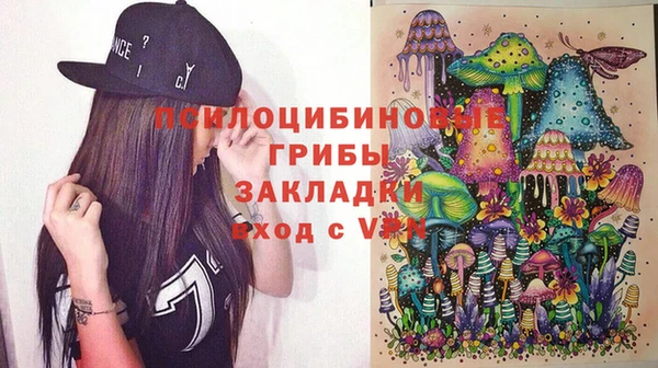 2c-b Богданович